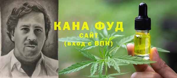 ГАЛЛЮЦИНОГЕННЫЕ ГРИБЫ Козловка