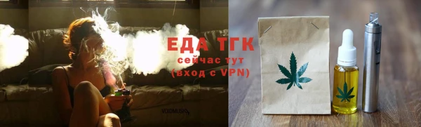 ГАЛЛЮЦИНОГЕННЫЕ ГРИБЫ Козловка