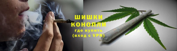 spice Козельск