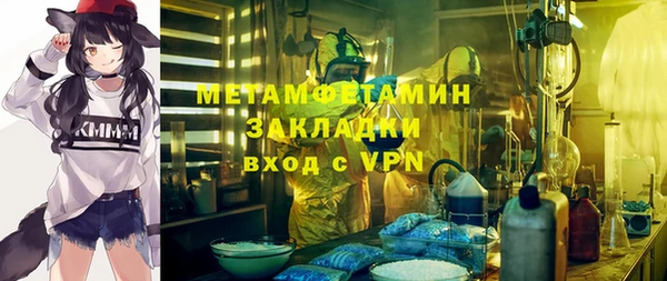ГАЛЛЮЦИНОГЕННЫЕ ГРИБЫ Козловка