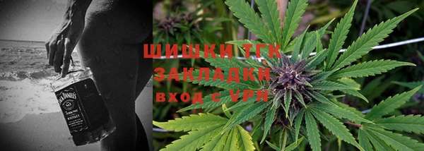 ГАЛЛЮЦИНОГЕННЫЕ ГРИБЫ Козловка