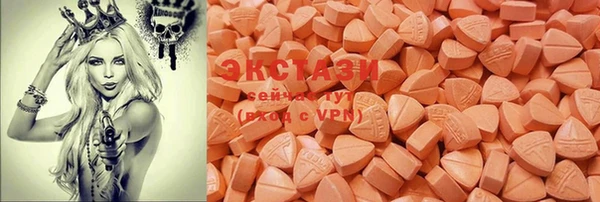 ГАЛЛЮЦИНОГЕННЫЕ ГРИБЫ Козловка