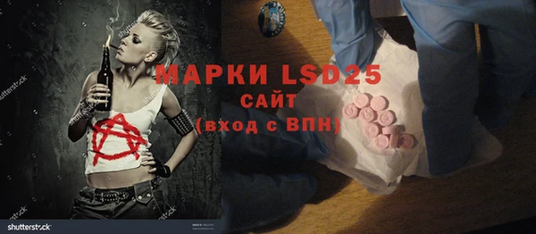 ГАЛЛЮЦИНОГЕННЫЕ ГРИБЫ Козловка