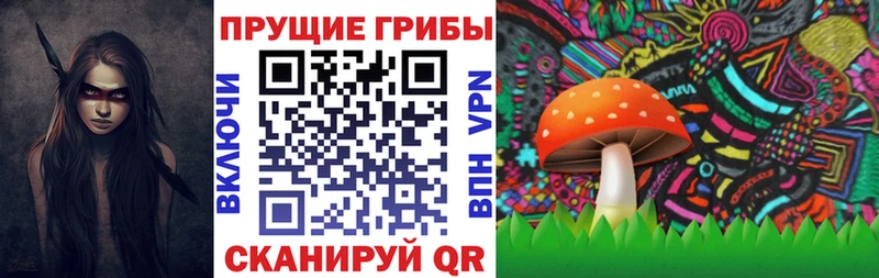 Псилоцибиновые грибы прущие грибы  Купить закладки  Пестово 