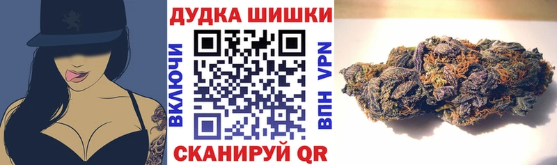 Купить где  Пестово  Каннабис OG Kush 